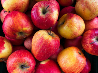 A top view photo of ripe apples neatly arranged and filling the entire frame. The apples create a colorful food background, perfect for themes of health, nutrition, farming, and seasonal harvest.
