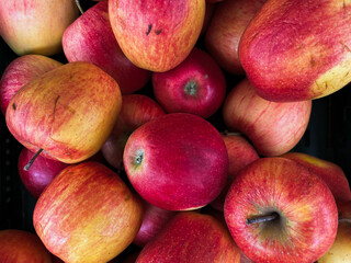 A top view photo of ripe apples neatly arranged and filling the entire frame. The apples create a colorful food background, perfect for themes of health, nutrition, farming, and seasonal harvest.