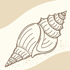 Elegant hand drawn illustration of a detailed seashell on a sandy beach background