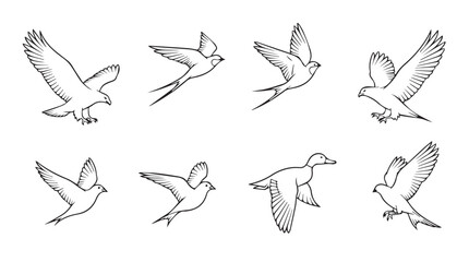 Collection of sketchy bird silhouettes in dynamic flight poses for artistic projects silhouette