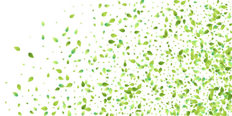 Fototapeta premium GreenLeaf3542.eps