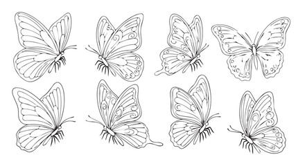 Collection of delicate hand drawn butterfly silhouettes for artistic design and nature themes silhouette