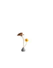 Dried floral arrangement in a small grey vase; two blooms, one brown, one yellow, on slender stems