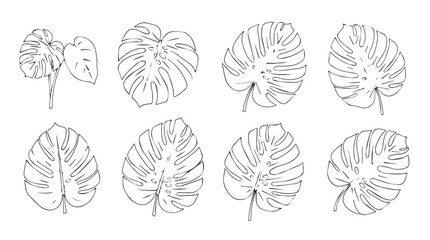 Abstract stylized brain anatomical views line art simplified neural network patterns silhouette