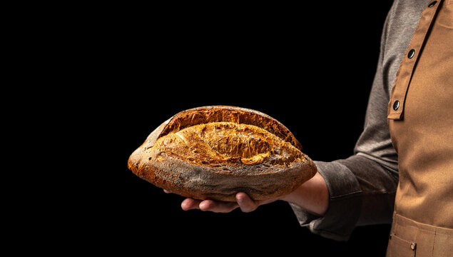 Baker holding freshly baked rustic bread loaf on black background, close up, copy space
