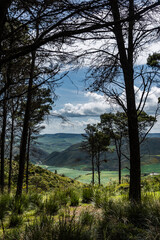 Obraz premium Beautiful spring landscape view from the north of Tunisia