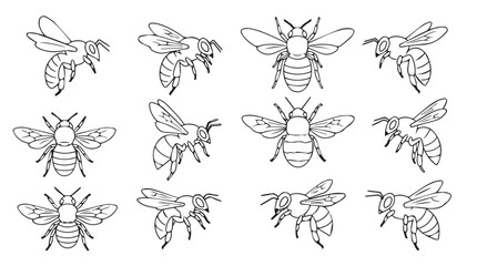 Detailed hand drawn bees in various poses and angles scientific insect study collection silhouette