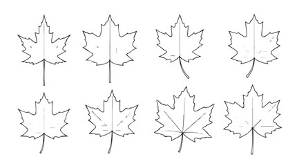Collection of hand drawn maple leaves sketches perfect for autumn designs silhouette