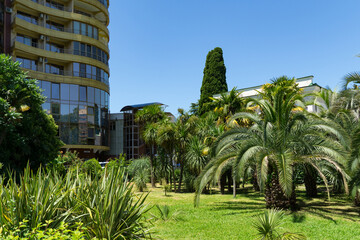 Modern curved building with large windows and balconies, surrounded by lush garden of palm trees, ornamental plants, and green lawn under   clear blue sky in Sochi