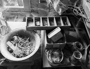 A room abandoned by man, covered with a layer of dust, cobwebs and flies