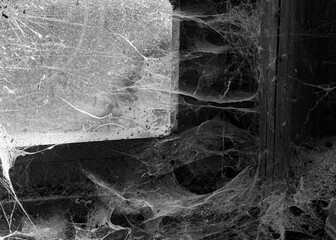 A room abandoned by man, covered with a layer of dust, cobwebs and flies