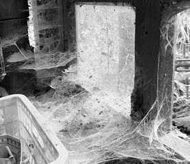 A room abandoned by man, covered with a layer of dust, cobwebs and flies
