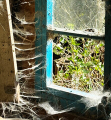 A room abandoned by man, covered with a layer of dust, cobwebs and flies