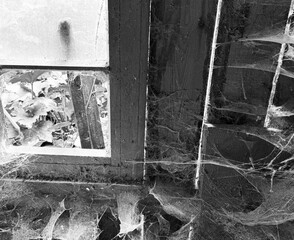 A room abandoned by man, covered with a layer of dust, cobwebs and flies