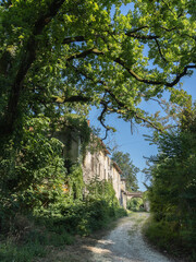 Path Through Overgrown Ancient Buildings in Collecchio, Parma - Italy