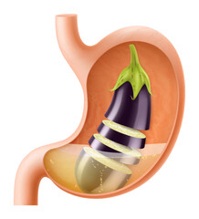 Human Stomach with eggplant. The stomach digests aubergine. A stomach filled with healthy and wholesome food. Proper nutrition. Realistic 3d Vector illustration. Food digestion process illustration