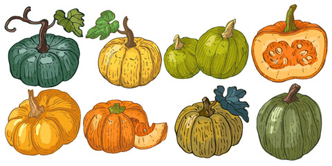 Pumpkins isolated on a white background.
