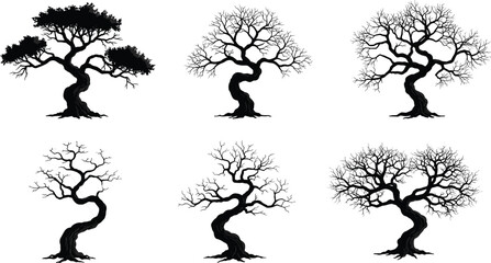 Tree silhouettes, seasonal growth illustration, black and white design, bare and full branches art, nature figure, decorative graphic, minimal style, botanical element, natural background