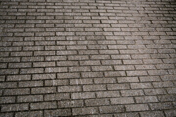 Route pavée de blocs de pierre réguliers.