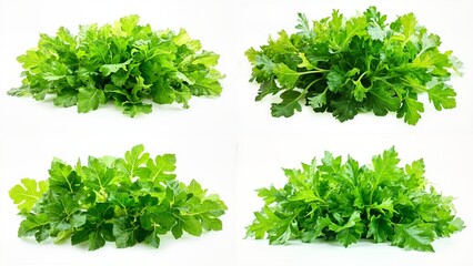 Naklejka premium A bunch of green leaves on white background motion depth frame creative cartoonish composition movement backgrounds scene colorful emotion gesture layers figure design elements style