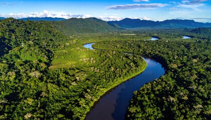 Lush river winding through dense jungle