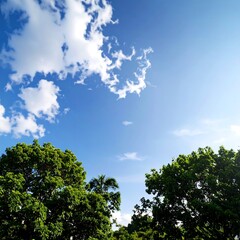 Obraz premium Clouds and trees against a blue sky