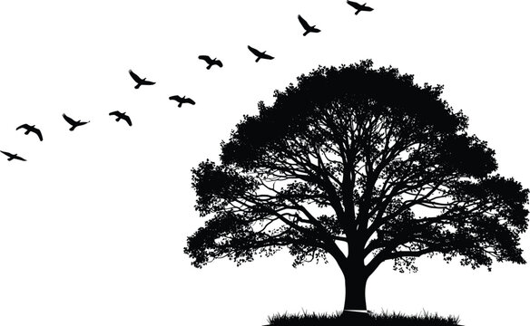 Black and white tree silhouette with flying birds, nature-inspired minimal illustration for symbolic, peaceful, and outdoor-themed graphic design.Black and white tree silhouette with flying birds, nat