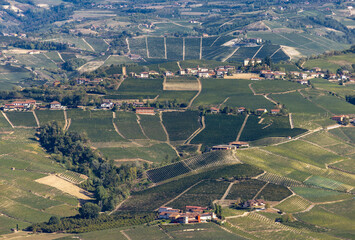 View of Langhe vineyards from La Morra,  UNESCO Site, Piedmont, Italy