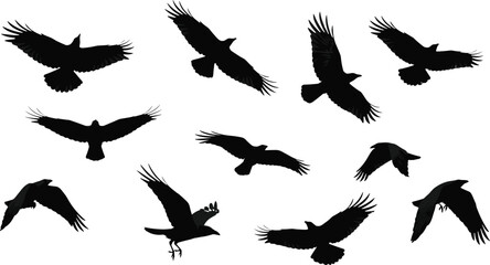 Black silhouette illustration of flying birds in varied wing positions, minimal nature-inspired design for motion, wildlife, and artistic concepts.