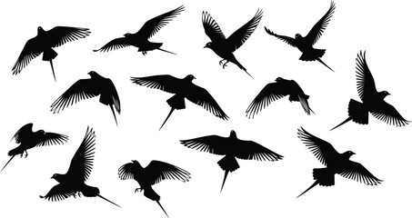 Black silhouette illustration of twelve birds in varied flight positions, showcasing dynamic wing motion and graceful aerial movement.