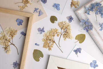 Beautiful dry flowers, green leaves and picture frame elements on white background, flat lay
