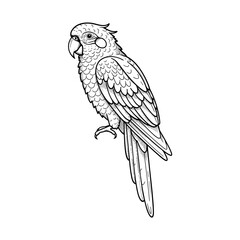 Vintage parrot bird perched in detailed retro engraving style vector illustration