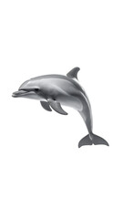 Obraz premium A stylized gray dolphin leaps gracefully, its smooth form highlighted against a black background, showcasing anatomical details and a dynamic pose
