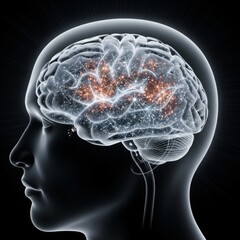 Human Brain Visualization: Neural Networks and Cognitive Function Representation