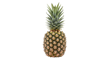 Isolated pineapple fruit with green leafy top ready for healthy eating preparation