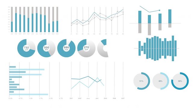 Analytical dashboard with charts and diagrams for financial investment reports. Animated infographics statistics.