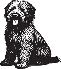 Briard Dog in Black and White – Elegant French Herding Breed Photography