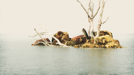 Obraz premium A solitary tree clings to life on a rugged rock amid the still waters of a tranquil lake. The hazy atmosphere creates a dreamlike quality, evoking peace and solitude.