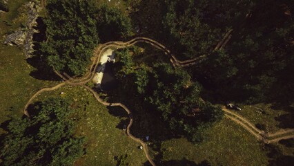 Curving trails meander through dense greenery in a serene forest. A quaint cottage hides among vibrant trees, inviting exploration of the tranquil surroundings at midday.