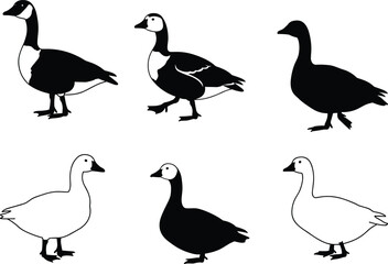 Set of goose illustrations in black silhouette and line drawing styles, vector waterfowl artwork for wildlife, farm animal, and nature designs