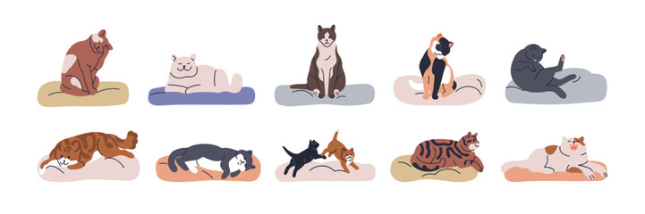 Fototapeta na wymiar Cats on pet beds set. Cute funny kittenes, lazy home kitties lying, relaxing, sleeping, playing and grooming in cozy feline furniture, pillows. Flat vector illustration isolated on white background.