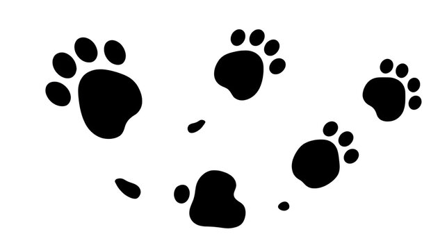 animal footprints on transparent background, cat path, isolated simple flat style