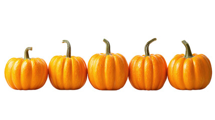 Obraz premium Set of glowing pumpkins in a row, clean cutout design for seasonal decoration, isolated on transparent background 