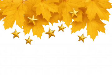 Golden autumn maple leaves and shiny stars creating a fall decoration with copy space, ready for seasonal designs