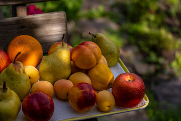 Assorted fruits on a tray outside in summer.