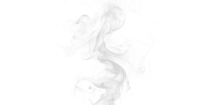 Ethereal tendrils of white smoke dancing and swirling against the dark void representing mystery and the intangible with