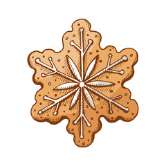 Hand drawn vintage sketch of christmas gingerbread cookie snowflake with white icing in warm brown color vector illustration