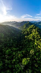 Fototapeta premium Lush mountain landscape