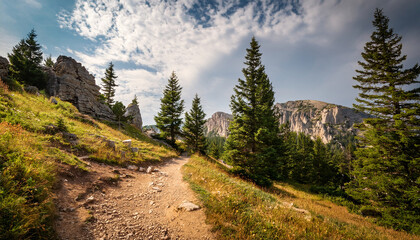 Obraz premium Vertical Wide Angle Shot Of A Scenic Dirt Trail Winding Through Rugged Hillside With Tall Pine Trees And Dramatic Rock Formations Under A Partly Cloudy Sky In A Peaceful Mountainous Landscape
