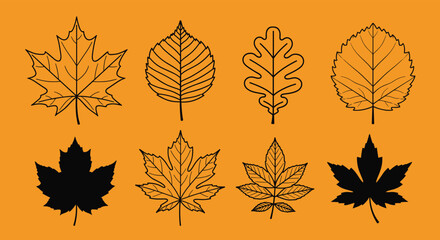 A collection of various distinct leaf illustrations in autumn colors.